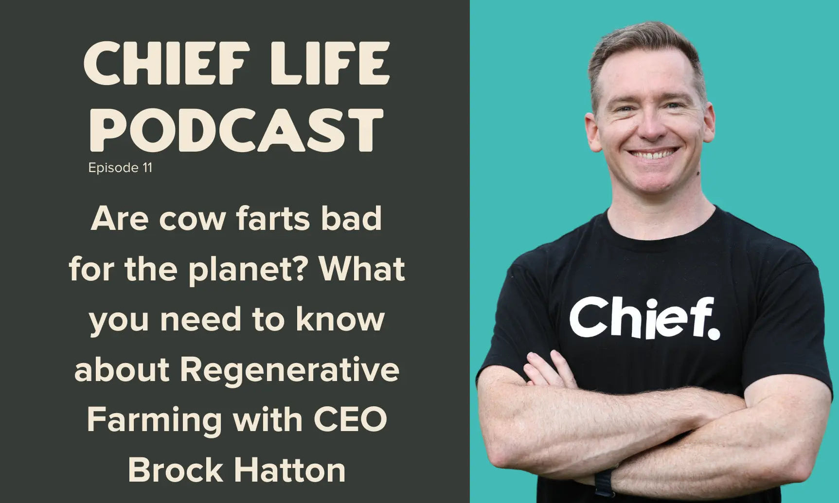 Are-cow-farts-bad-for-the-planet-What-you-need-to-know-about-Regenerative-Farming Chief Nutrition
