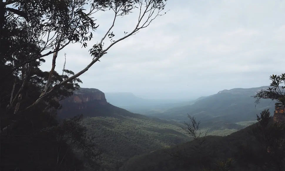 Australia's top 3 trail runs - Chief Nutrition