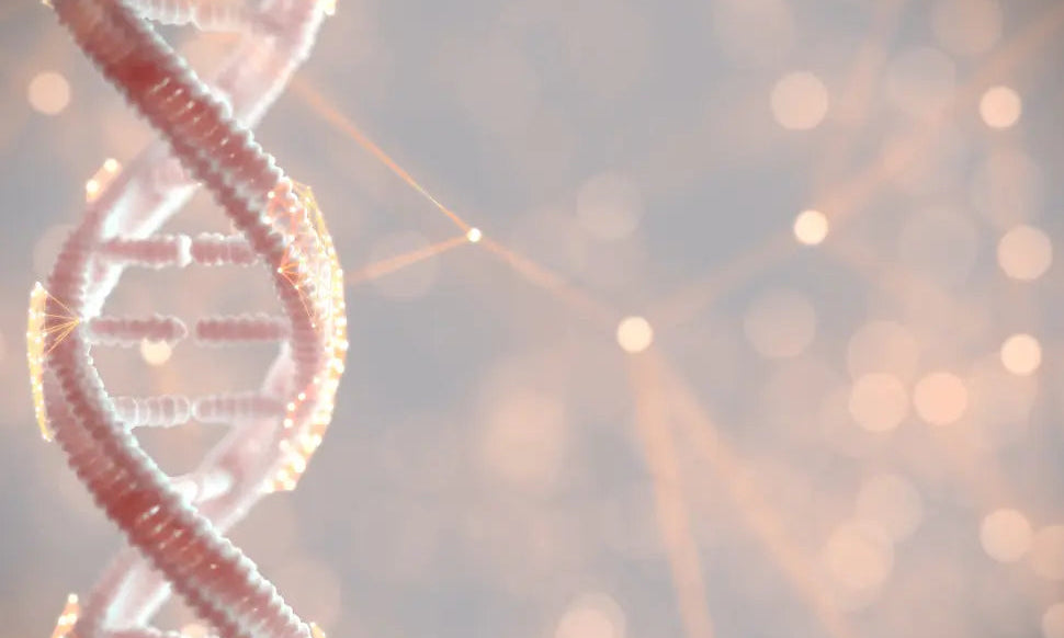 How genetic test helps you to achieve the best health, fitness and physique outcomes. - Chief Nutrition