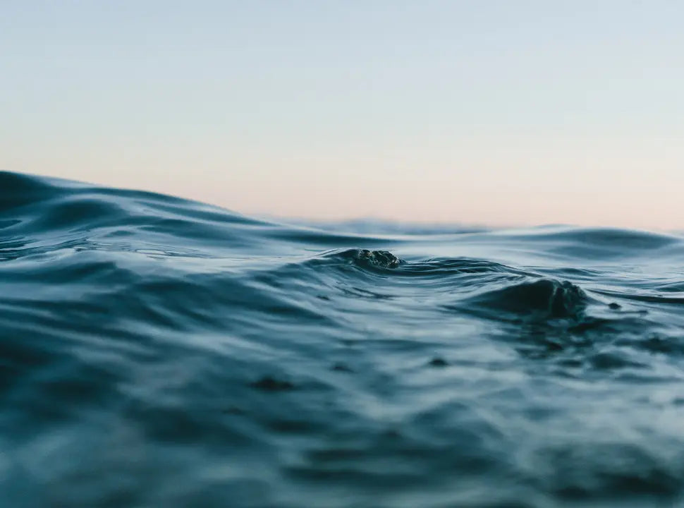 Why cold water improves energy, longevity, fat loss, immunity and more - Chief Nutrition