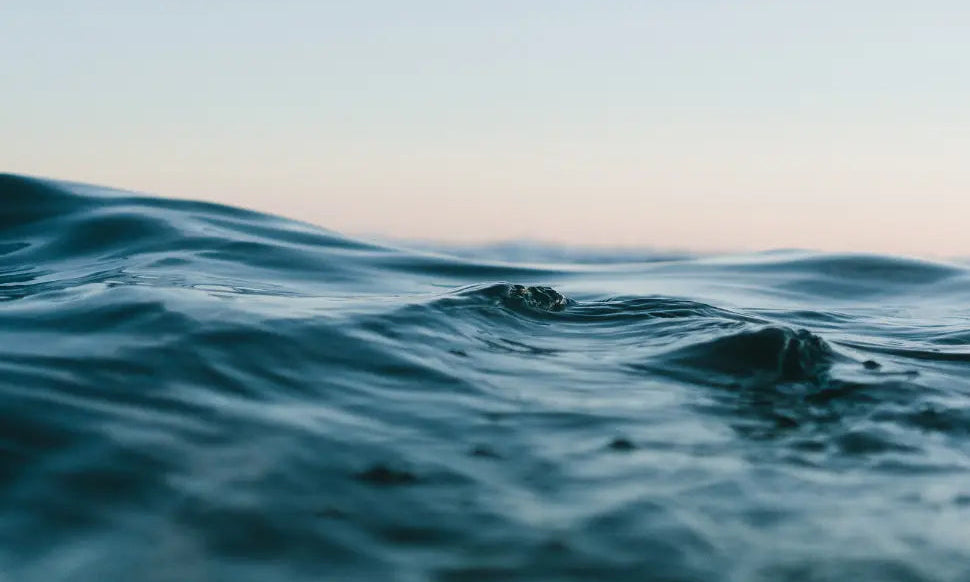 Why cold water improves energy, longevity, fat loss, immunity and more - Chief Nutrition