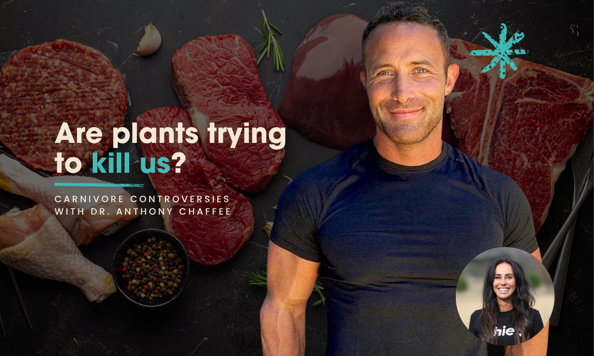 Are-plants-trying-to-kill-us-Carnivore-controversies-with-Dr.-Anthony-Chaffee Chief Nutrition