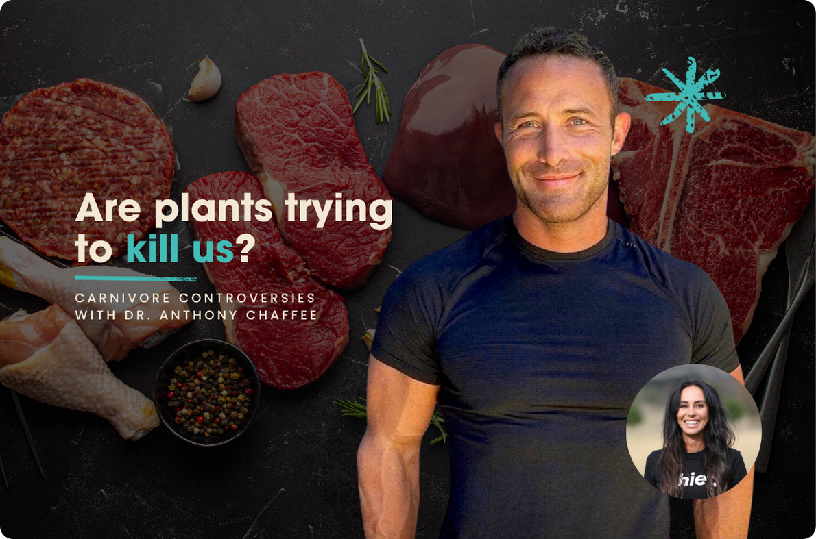 Are-plants-trying-to-kill-us-Carnivore-controversies-with-Dr.-Anthony-Chaffee Chief Nutrition
