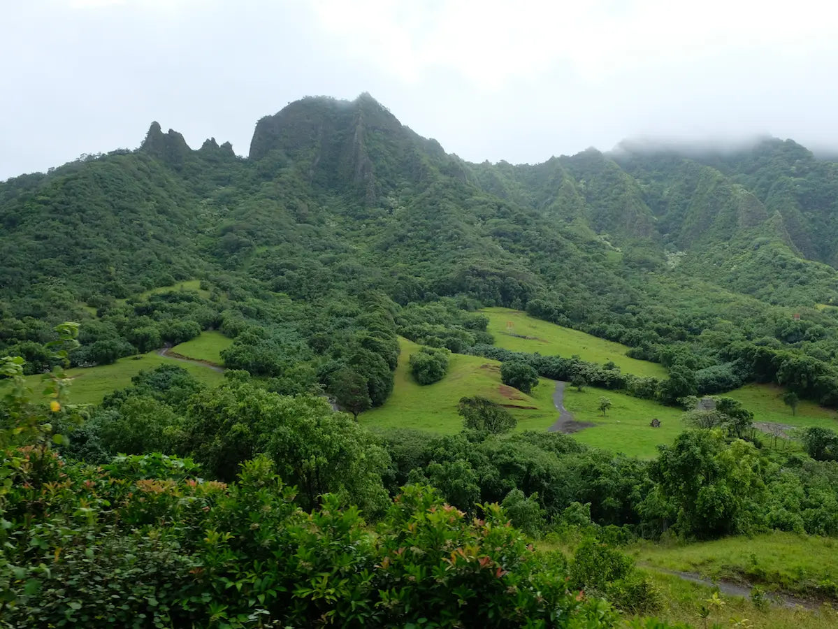 Top 3 most scenic hiking trails in the world! - Chief Nutrition