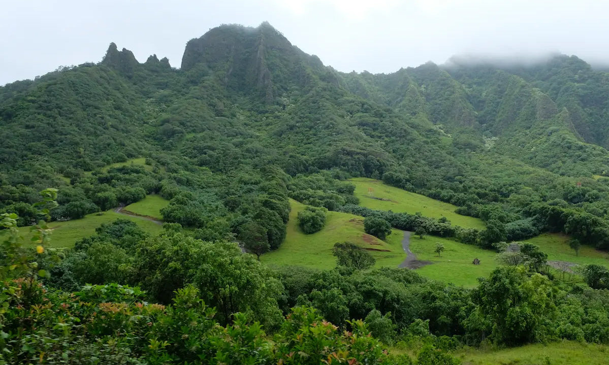 Top 3 most scenic hiking trails in the world! - Chief Nutrition
