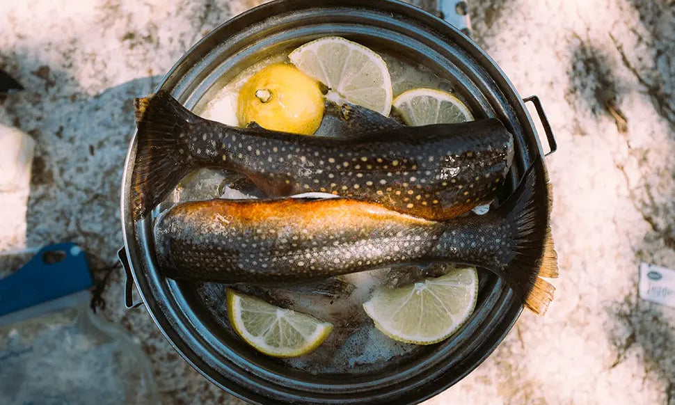 Top 10 Lean and Nutrient Dense Foods - Chief Nutrition