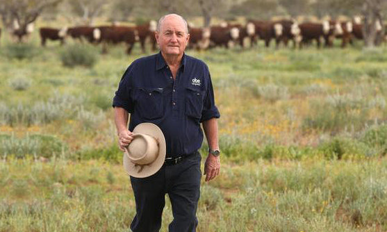 Where does Chief beef come from? - Chief Nutrition