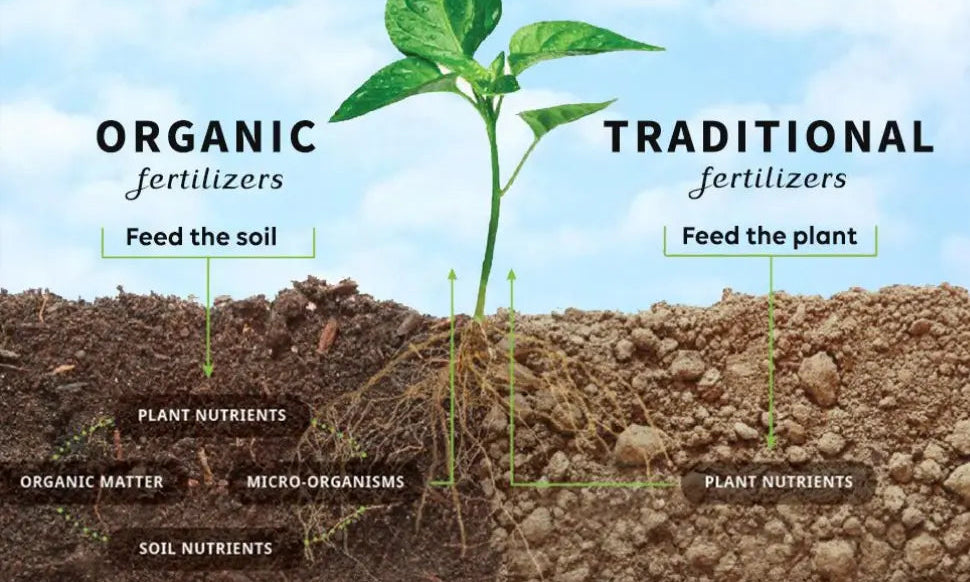 Why petroleum based Fertilisers, Herbicides, Fungicides, Insecticides should have no place in our food system - Chief Nutrition