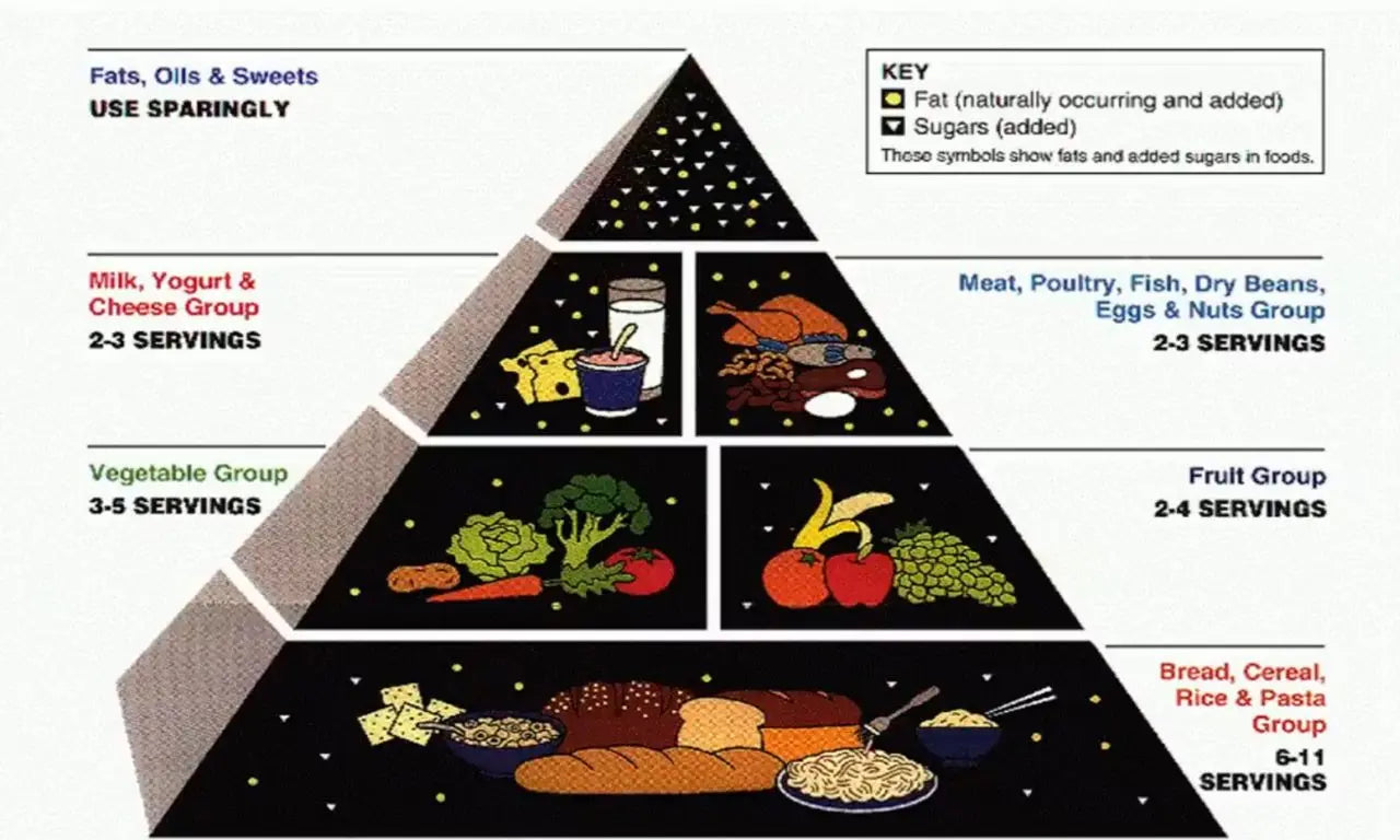 The corrupt history of the food pyramid - Chief Nutrition