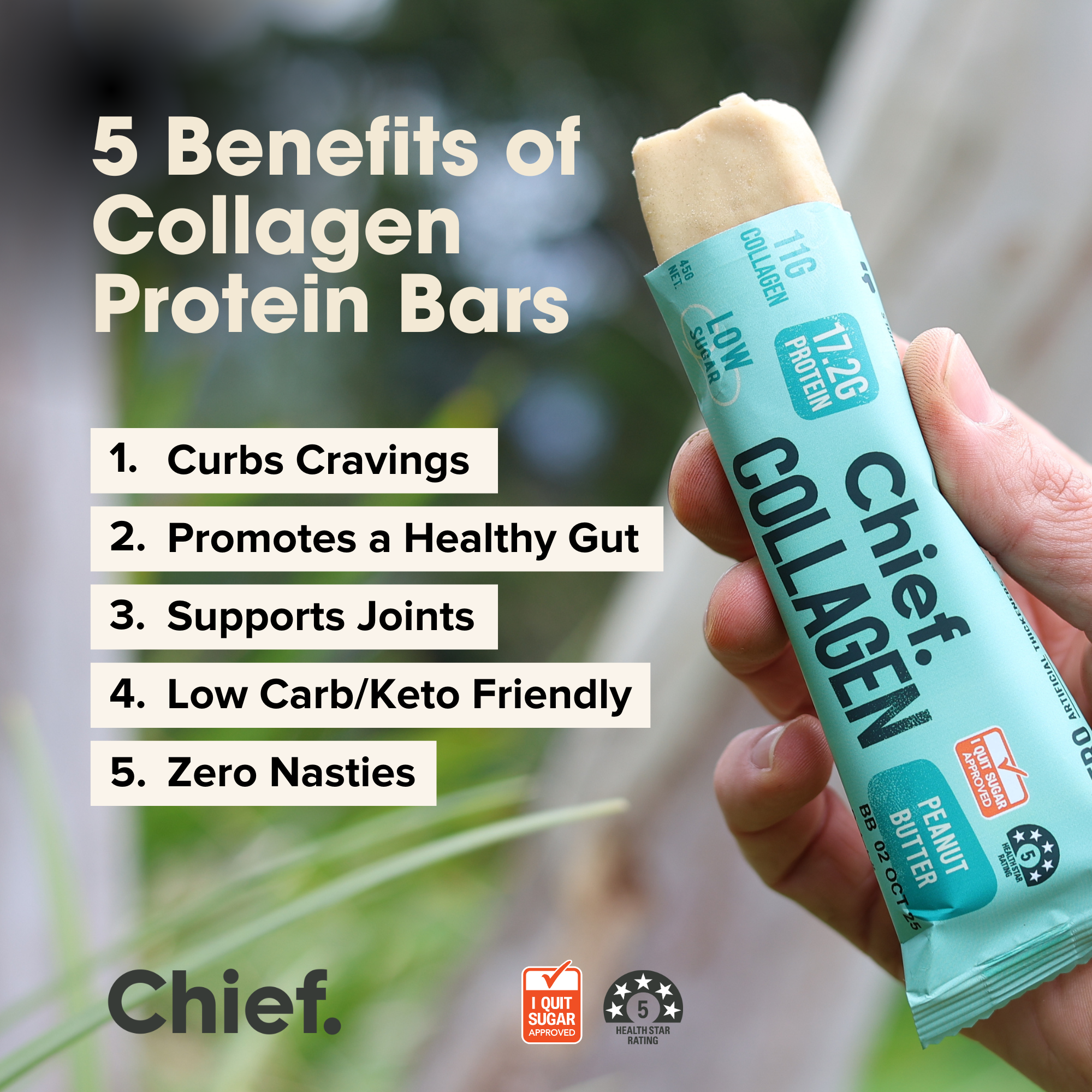 Collagen Protein Bar - Peanut Butter (12 bars) Chief Nutrition