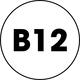 B12_icon_5ce21a53-cb72-4eb5-9362-157c58fc312c.png