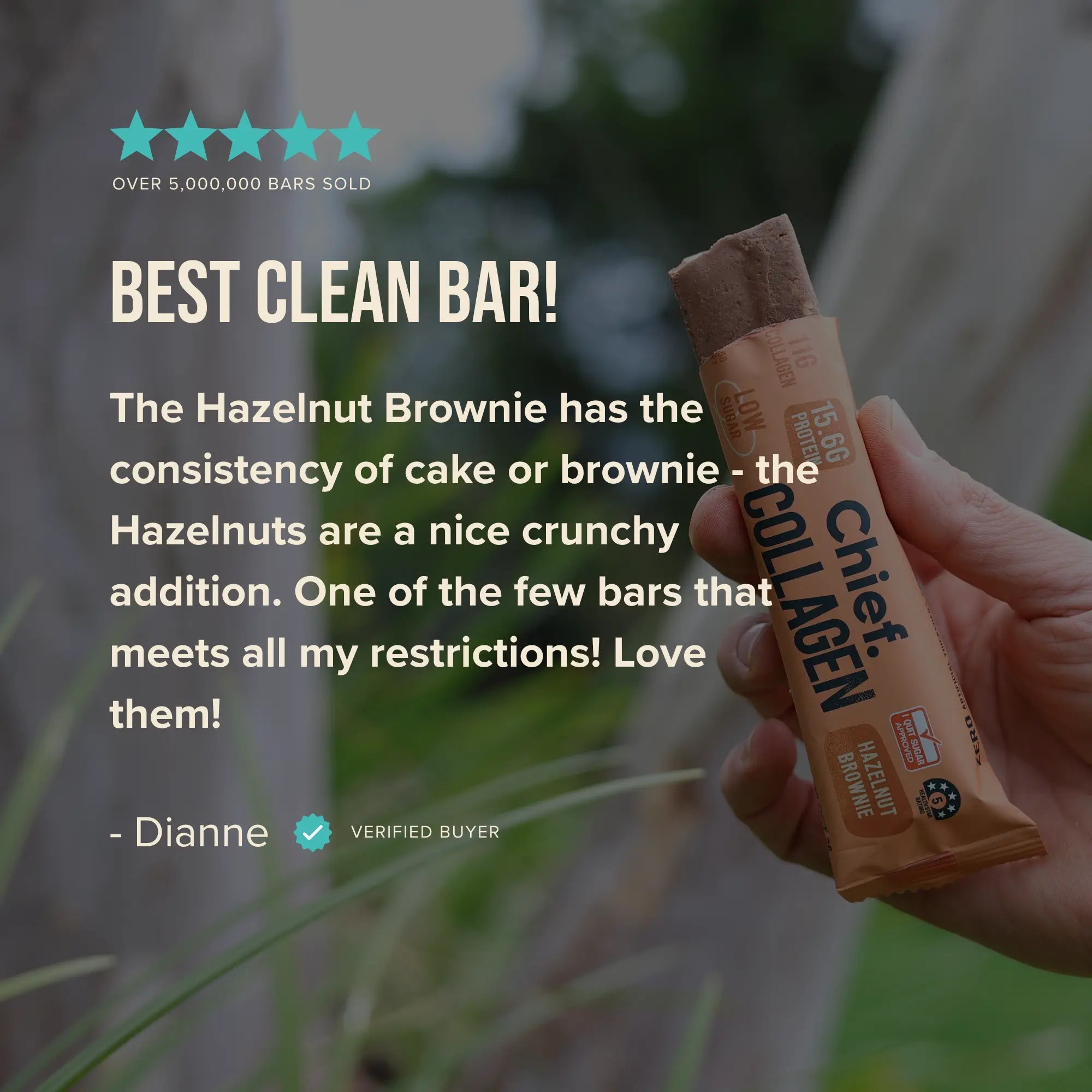 Collagen Protein Bar - Hazelnut Brownie (12 bars) Chief Nutrition
