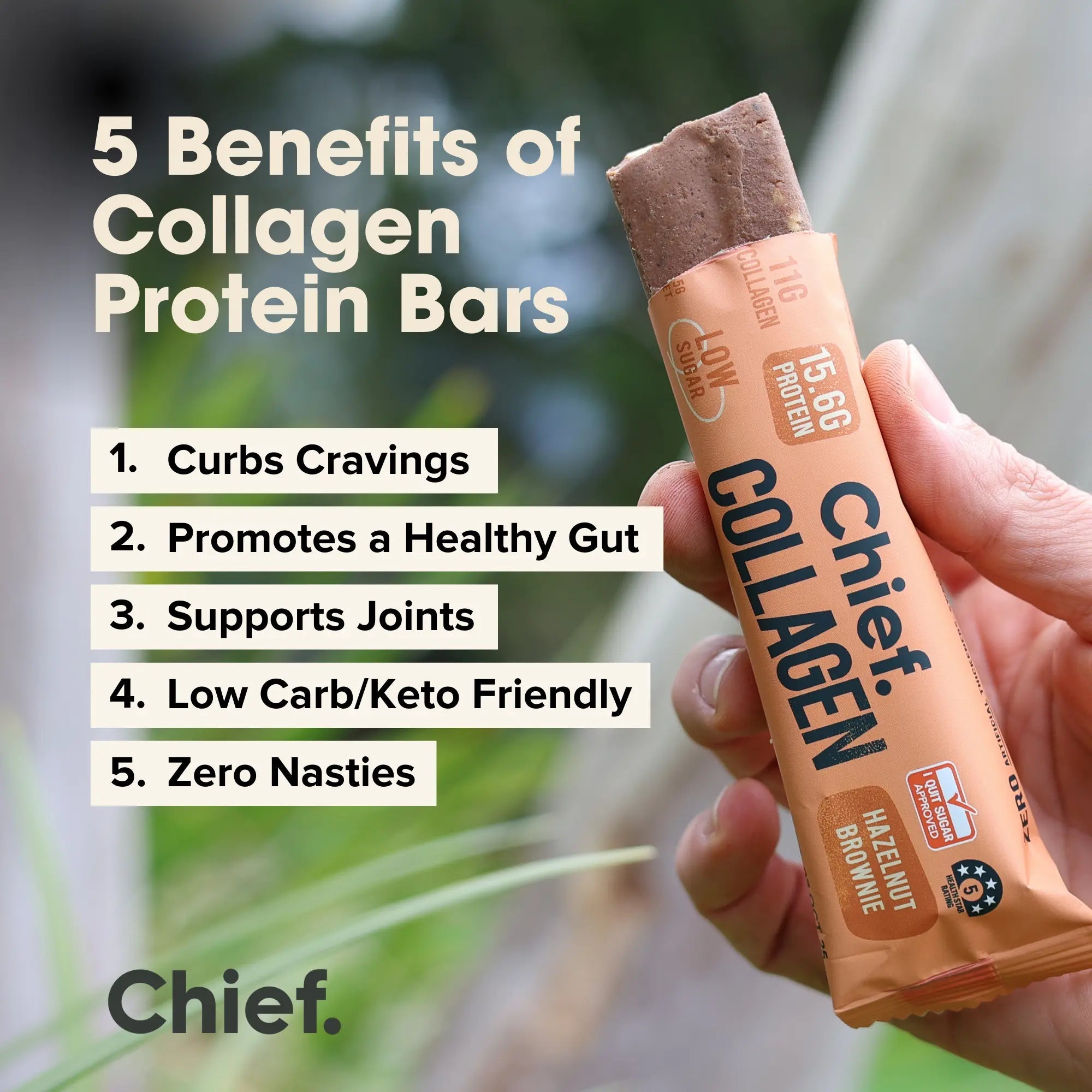 Collagen Protein Bar - Hazelnut Brownie (12 bars) Collagen Bar Chief Nutrition