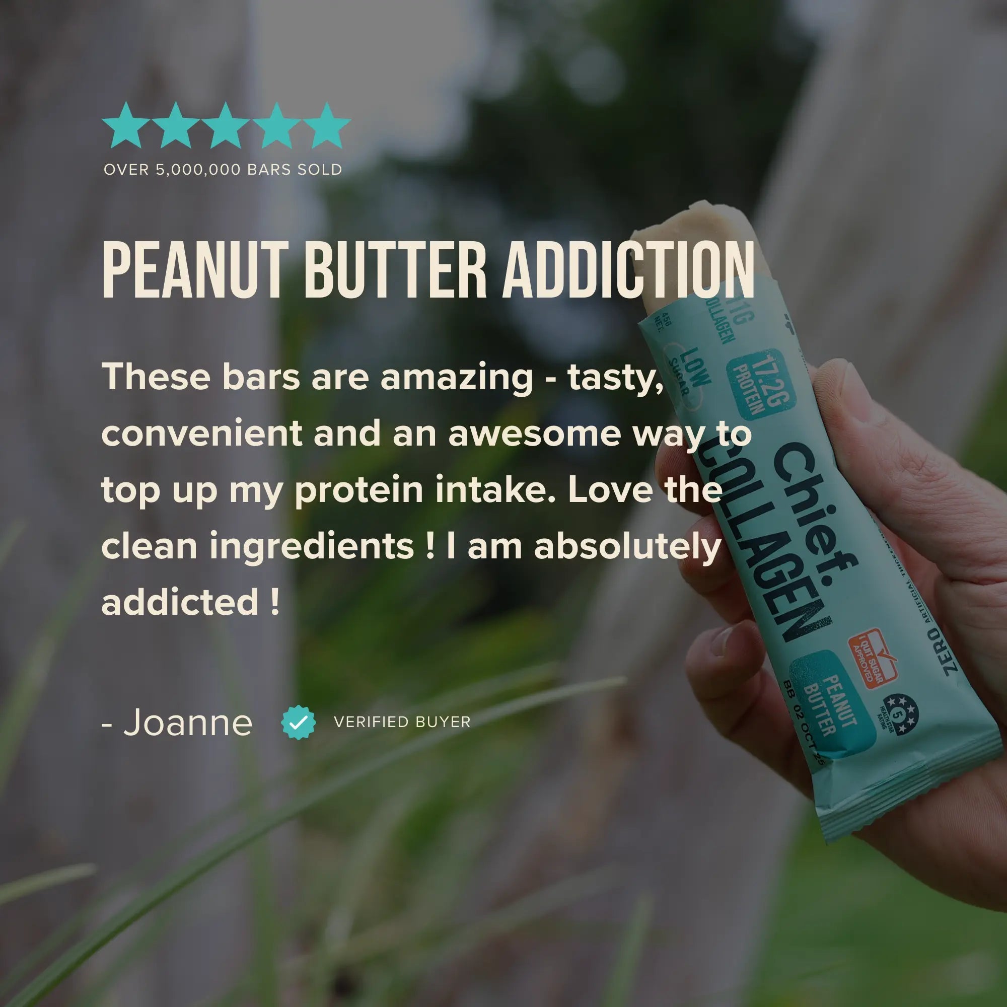 Collagen Protein Bar - Peanut Butter (12 bars) Chief Nutrition