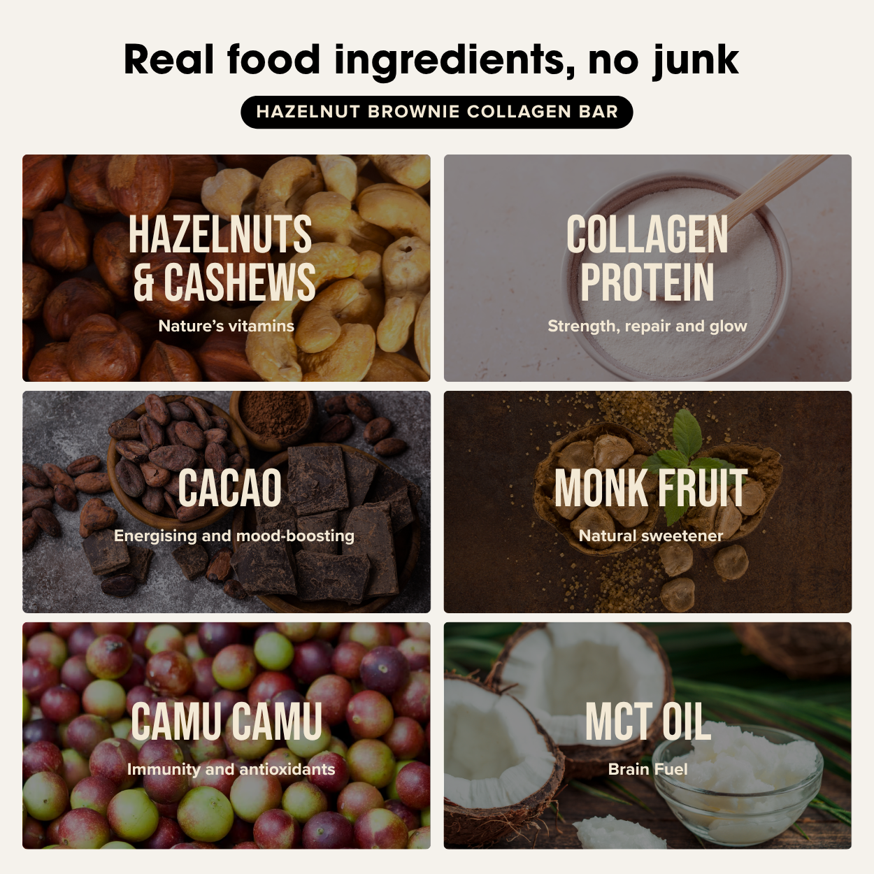 Collagen Protein Bar - Hazelnut Brownie (12 bars) Chief Nutrition